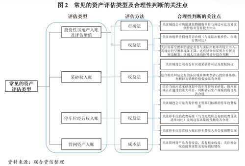 透過審計報告與資產(chǎn)評估報告識別城投公司財務(wù)風(fēng)險